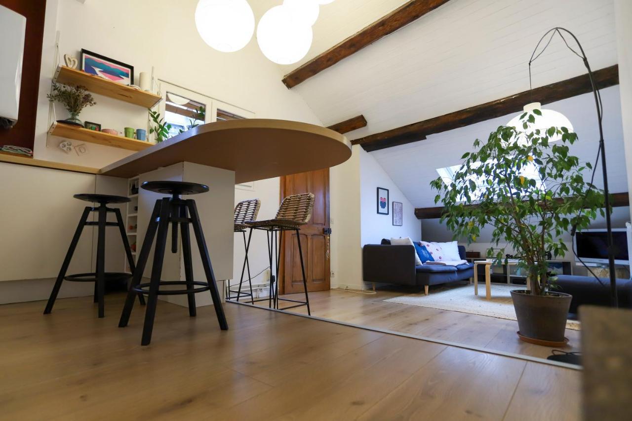 Petit-Coeur Charmant En Centre Ville Apartamento Annecy Exterior foto