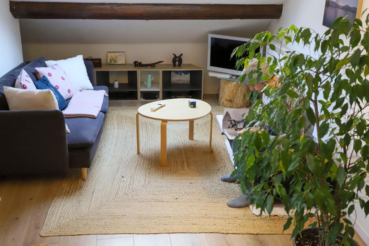 Petit-Coeur Charmant En Centre Ville Apartamento Annecy Exterior foto