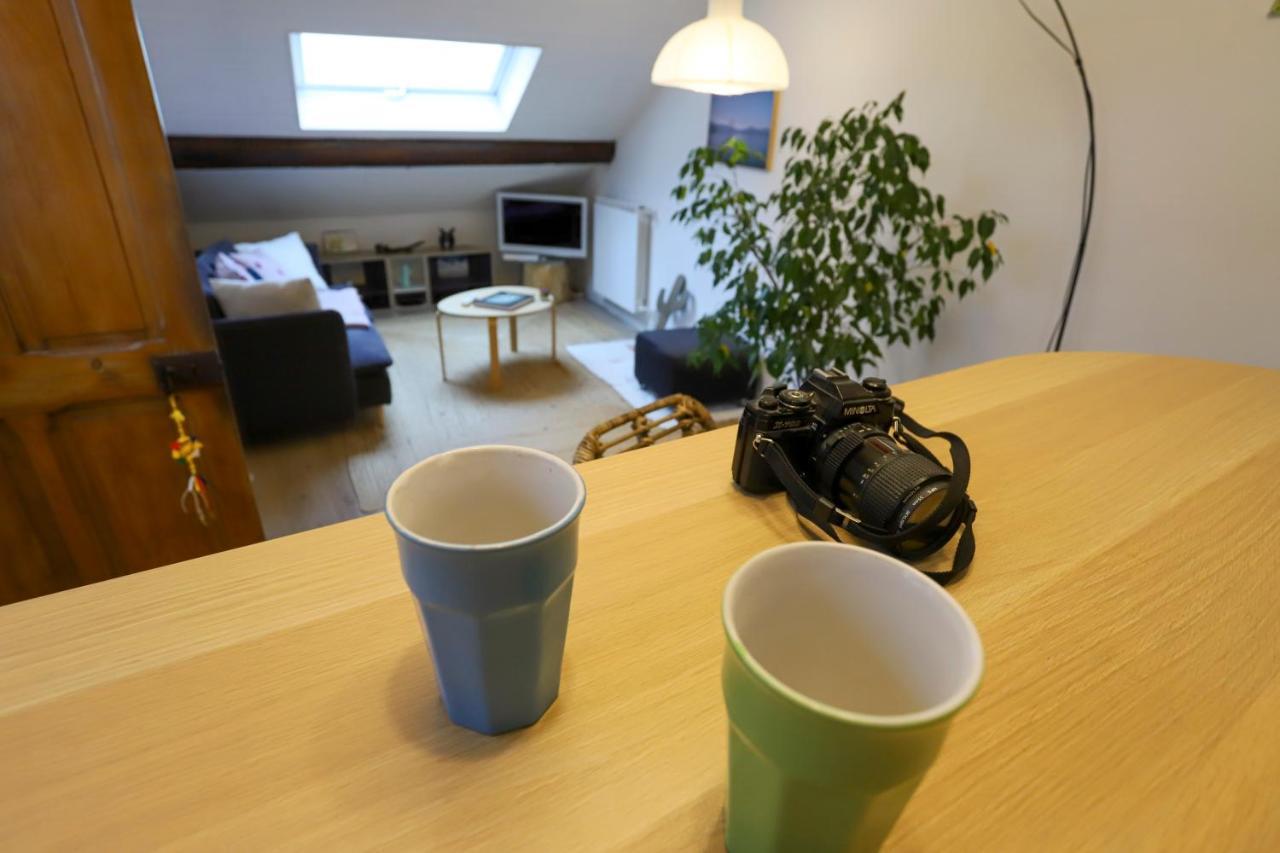 Petit-Coeur Charmant En Centre Ville Apartamento Annecy Exterior foto
